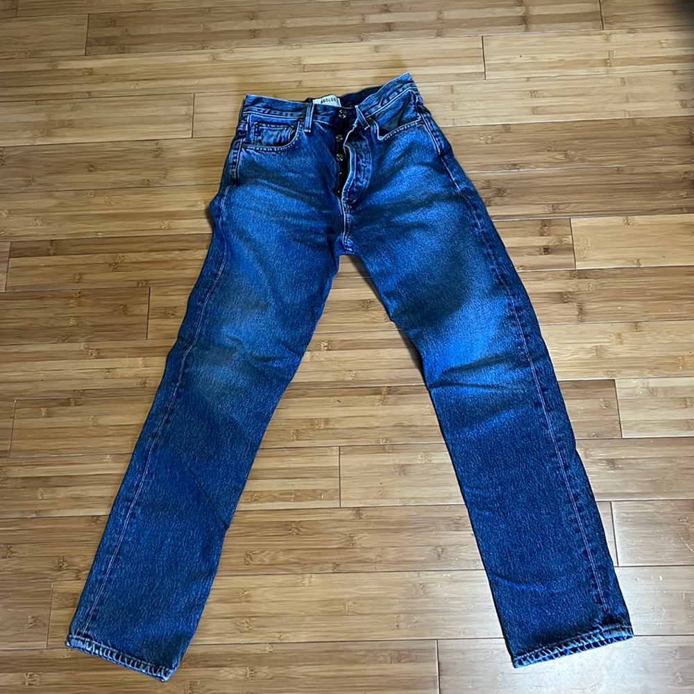 Agolde 90s pinch waist in Portrait